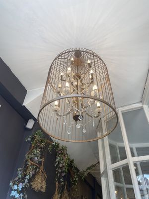   at Blackbird in Bruges