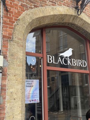   at Blackbird in Bruges