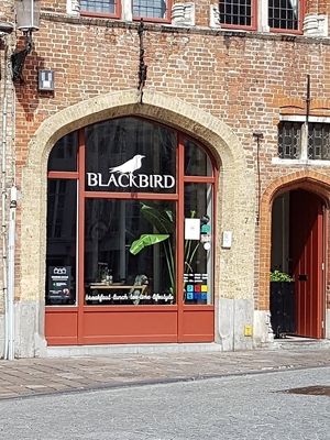 front at Blackbird in Bruges