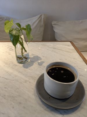 Large Americano at Secret Spot - Berawa in Tibubeneng