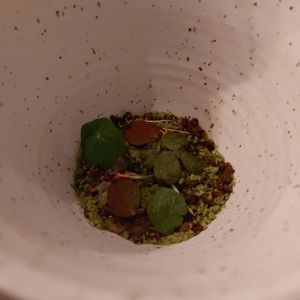 Dessert at Ark in Copenhagen