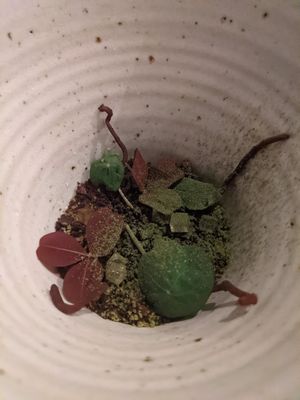  at Ark in Copenhagen