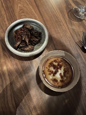 Oyster mushroom  at Ark in Copenhagen