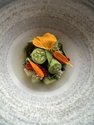 Cucumber  at Ark in Copenhagen