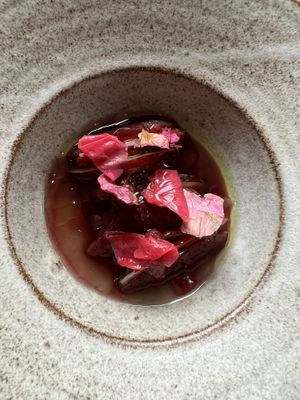 Tomato / plum   at Ark in Copenhagen