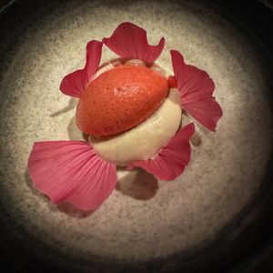   at Ark in Copenhagen