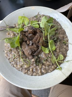   at GRØD -Torvehallerne in Copenhagen