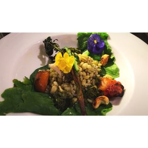 Pearl Barley  at Dr Legumes in Folkestone