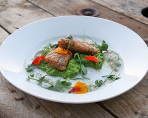 Tofish  at Dr Legumes in Folkestone