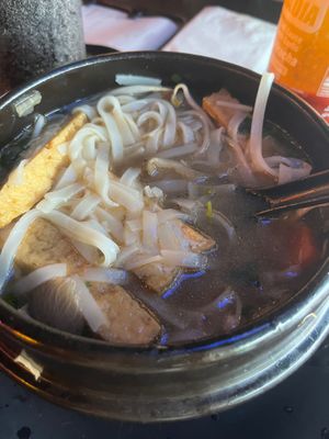 Vegan pho with tofu and noodles showing at Chopstix Cafe in Gainesville