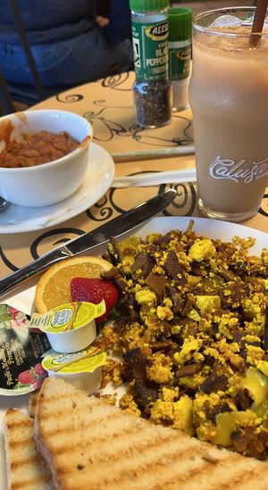   at Simon's Coffee House in Sarasota