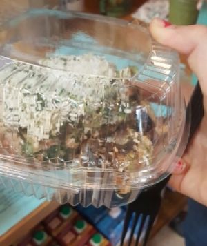 Raw lasagna, to go. Too big to fit in the container! at Simon's Coffee House in Sarasota