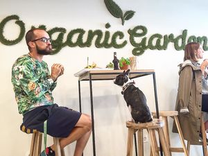 Organic Garden inside at Organic Garden in Ljubljana