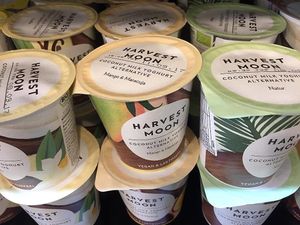 Vegan yoghurts at Organic Garden in Ljubljana