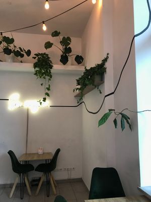 the inside at Vegano Cafe in Krakow