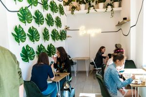 Interior at Vegano Cafe in Krakow