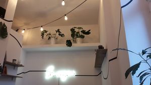 Decor 'go vegan' at Vegano Cafe in Krakow