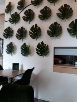 Wall art at Vegano Cafe in Krakow