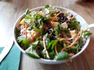 Indian salad..yum! at Vegano Cafe in Krakow