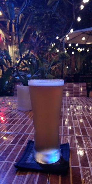 One of the draft craft ales at Monkey Republic in Kampot