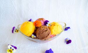 Inghetata asortata vegana at Pofta de Verde in Constanta