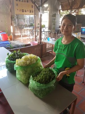Süss! Die sind hier so lieb. at Thuan Chay Lao Nong in Phan Thiet