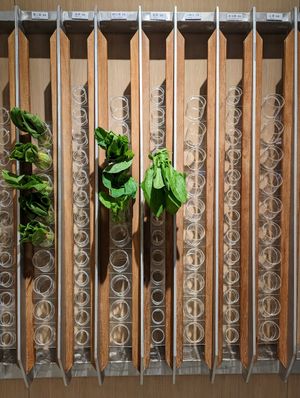 Don't miss the wall of greens at Vege Creek 蔬河 - 101 in Taipei