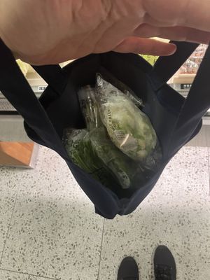 you can put everything you want in a bag (mine was overstuffed of course)  at Vege Creek 蔬河 - 101 in Taipei
