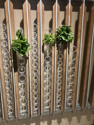 fresh greens to add to the soup   at Vege Creek 蔬河 - 101 in Taipei