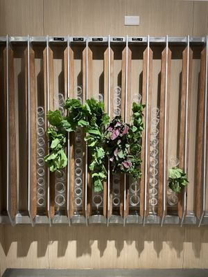 Vege Creek, Taipei  at Vege Creek 蔬河 - 101 in Taipei