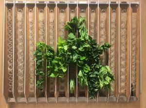 Fresh veggies   at Vege Creek 蔬河 - 101 in Taipei