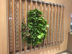 Step 2.5: select even more ingredients from the wall at Vege Creek 蔬河 - 101 in Taipei