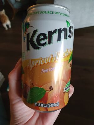 Kern's at Huong Sen Tofu in Sacramento