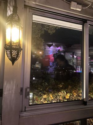 Inside and views to the lake  at Hermans in Stockholm