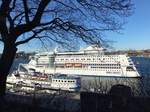 The cruise ships float by as we enjoy vegan food.   at Hermans in Stockholm