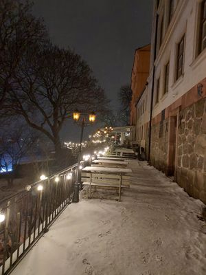  at Hermans in Stockholm