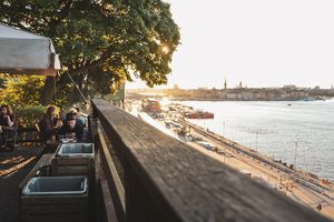 garden with a view at Hermans in Stockholm