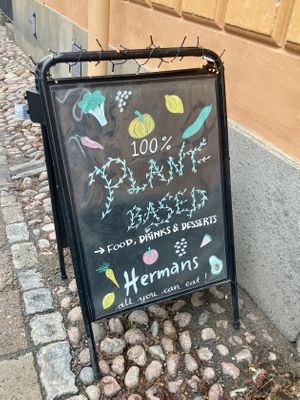 100% vegan   at Hermans in Stockholm