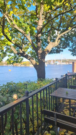  at Hermans in Stockholm