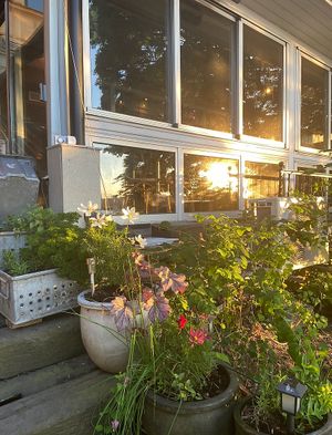   at Hermans in Stockholm