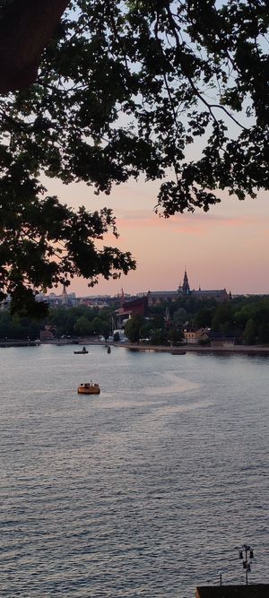  at Hermans in Stockholm