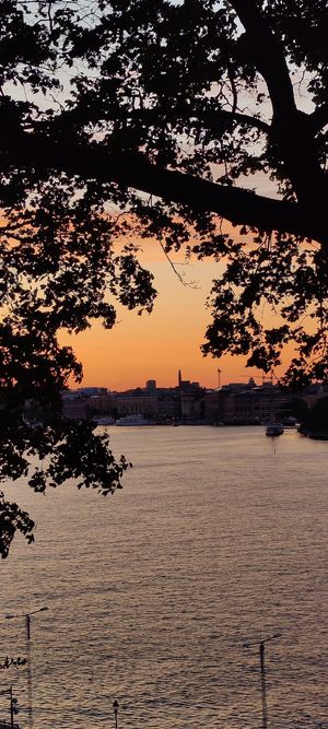  at Hermans in Stockholm