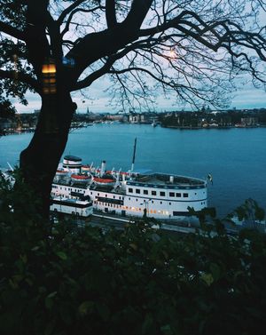 Beautiful Stockholm in its November suit  at Hermans in Stockholm