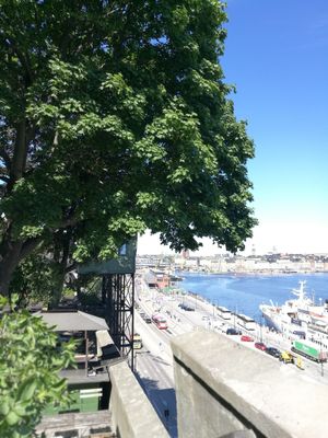 The view at Hermans in Stockholm