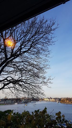 A view from the inside dining area. at Hermans in Stockholm