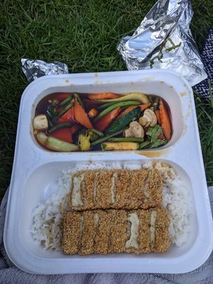 #25, duck with rice at Good Morning Vietnam Vegan in Berlin