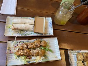 vegan chicken/ tofu and summer rolls with peanut sauce  at Good Morning Vietnam Vegan in Berlin