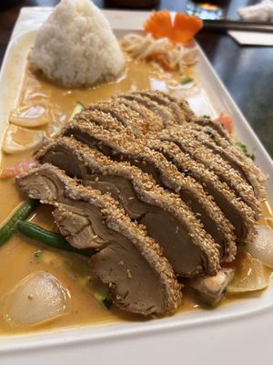 Vit Chay – Sot Lac (vegan duck in coconut peanut sauce)  at Good Morning Vietnam Vegan in Berlin