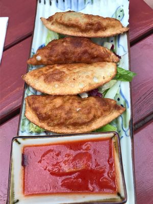 Fried dumplings. Very very nice! at Good Morning Vietnam Vegan in Berlin
