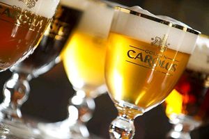 Gouden Carolus at Brouwerij Het Anker in Mechelen